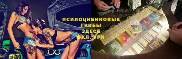 дмт Сясьстрой